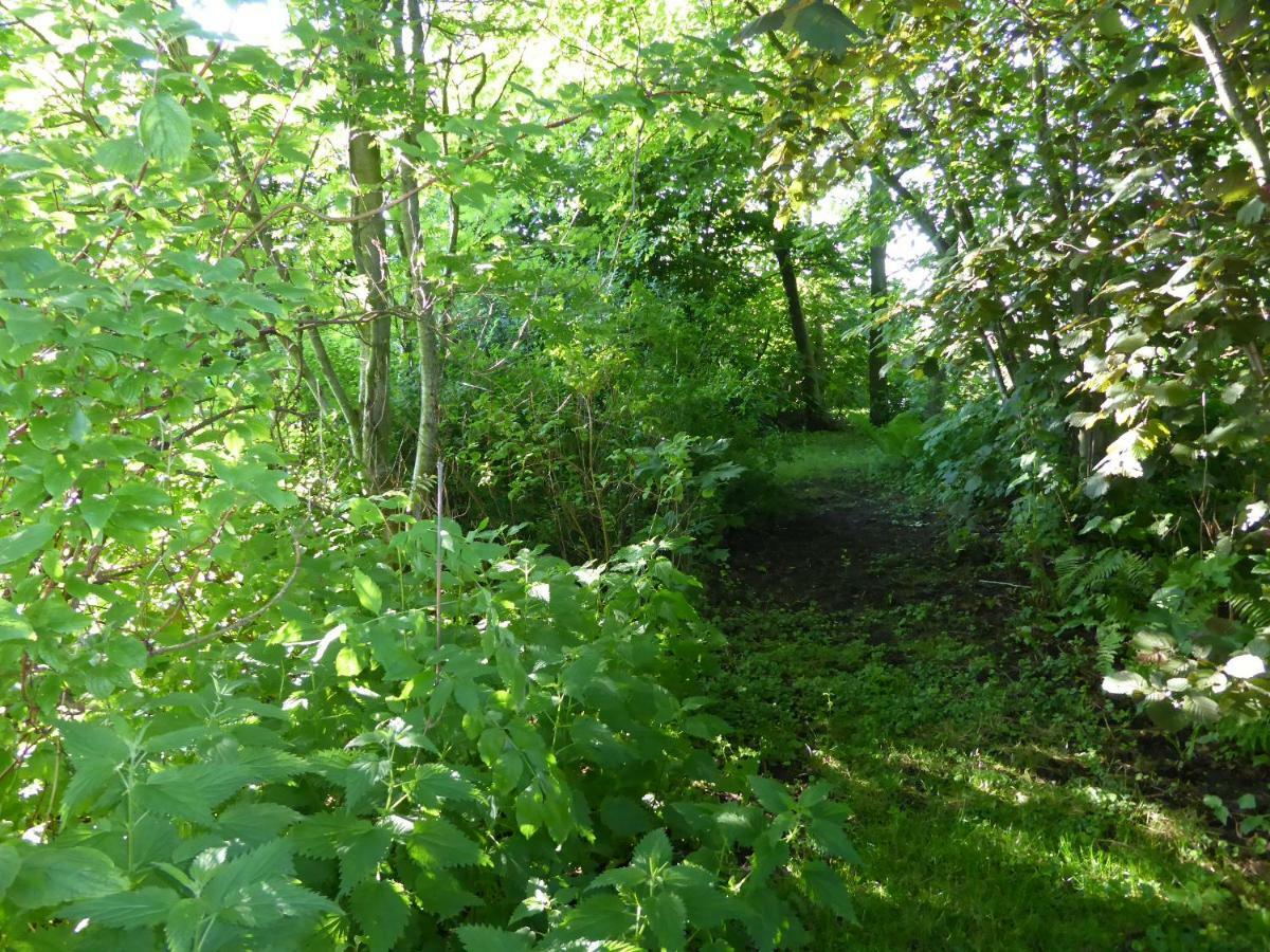 Bed and breakfast Logeren Bij De Ruimte Nijeholtpade